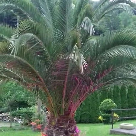 公寓 埃尔吕康恩坎塔公寓酒店 *